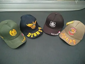 Topi Instansi Pemerintahan Tembalang
